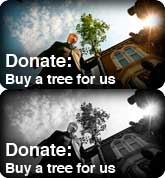 Donate: Buy a tree for us